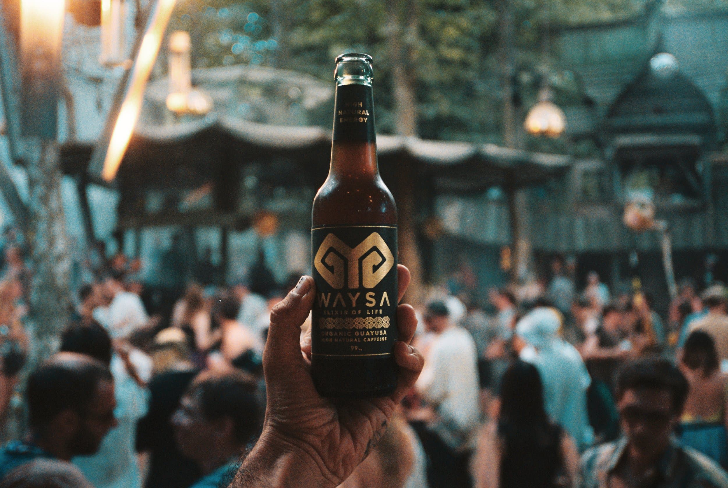 WAYSA — WAYSA — Organic Energy From the Amazon